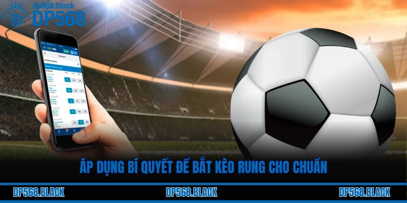 Áp dụng bí quyết để bắt kèo rung cho chuẩn