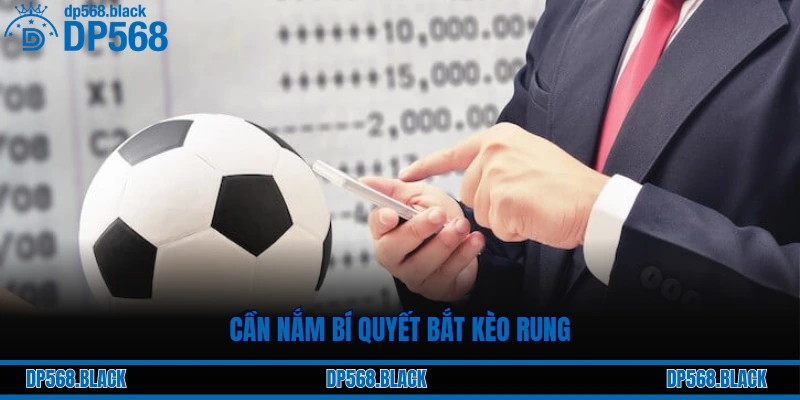 Cần nắm bí quyết bắt kèo rung