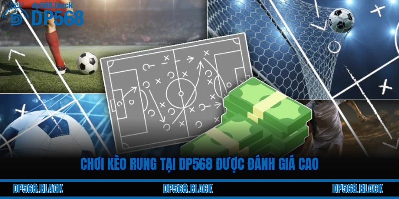 Chơi kèo rung tại DP568 được đánh giá cao