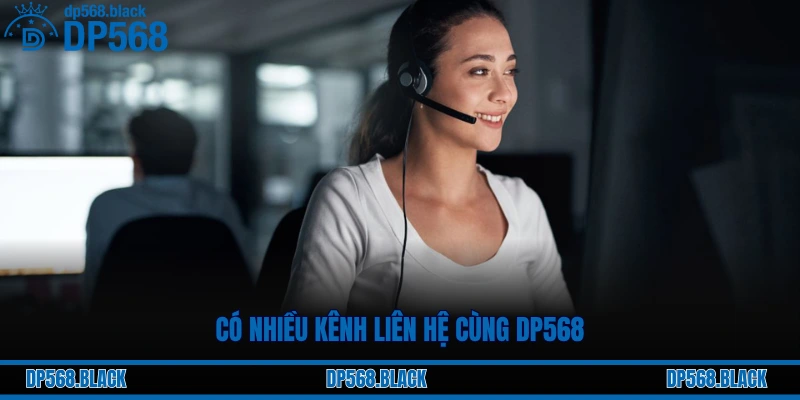 các kênh liên hệ DP568