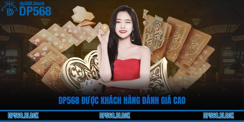 DP568 được khách hàng đánh giá cao