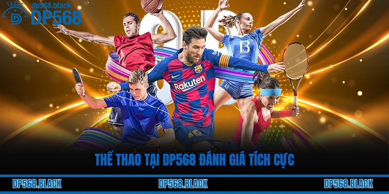 Thể thao tại DP568 đánh giá tích cực