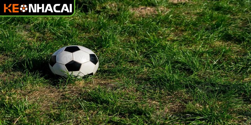 Tra cứu kèo nhà cái qua ứng dụng giúp bạn cập nhật thông tin tức thì